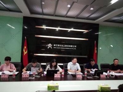 永利集团化工通过“浙江制造”认证现场评审