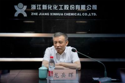 省税务局党委书记、副局长龙岳辉莅临公司调研